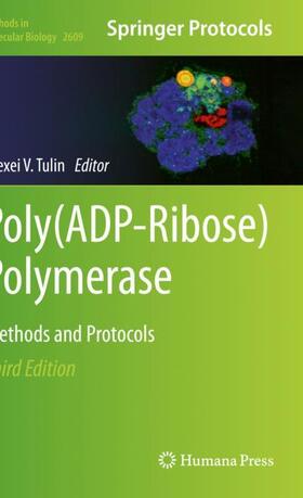 Tulin | Poly(ADP-Ribose) Polymerase | Buch | 978-1-0716-2893-5 | sack.de