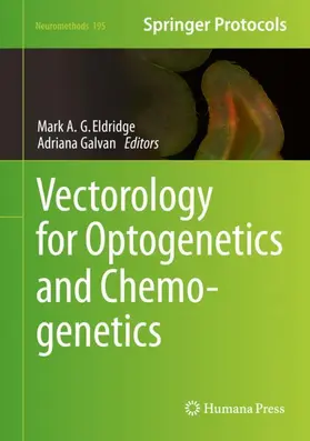 Galvan / Eldridge |  Vectorology for Optogenetics and Chemogenetics | Buch |  Sack Fachmedien