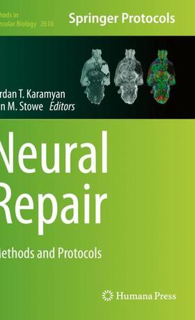 Stowe / Karamyan |  Neural Repair | Buch |  Sack Fachmedien