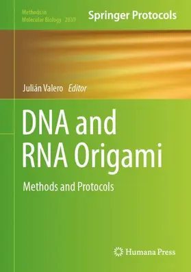 Valero | DNA and RNA Origami | Buch | 978-1-0716-3027-3 | sack.de