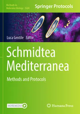 Gentile |  Schmidtea Mediterranea | Buch |  Sack Fachmedien