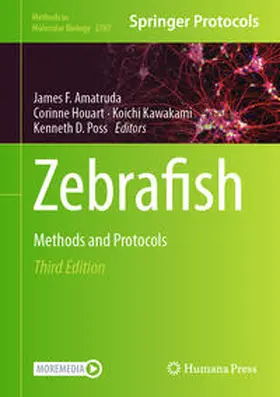 Amatruda / Houart / Kawakami |  Zebrafish | eBook | Sack Fachmedien