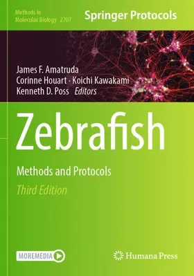 Amatruda / Poss / Houart |  Zebrafish | Buch |  Sack Fachmedien