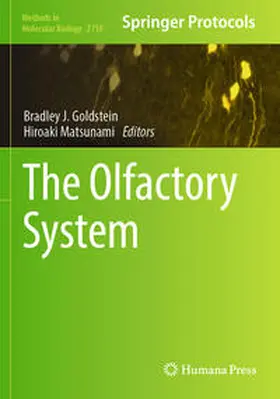 Matsunami / Goldstein |  The Olfactory System | Buch |  Sack Fachmedien