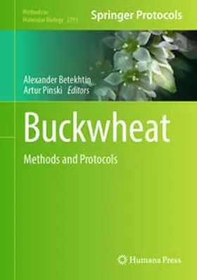 Pinski / Betekhtin |  Buckwheat | Buch |  Sack Fachmedien