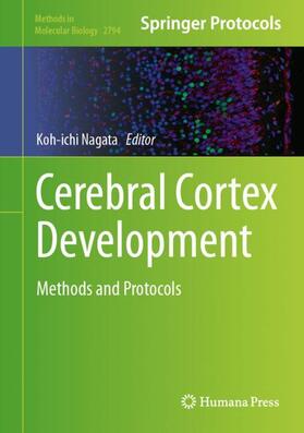 Nagata |  Cerebral Cortex Development | Buch |  Sack Fachmedien