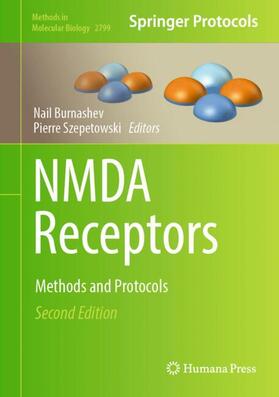 Szepetowski / Burnashev |  NMDA Receptors | Buch |  Sack Fachmedien
