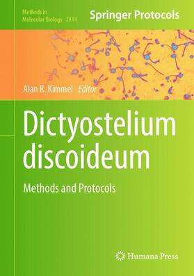 Kimmel |  Dictyostelium discoideum | Buch |  Sack Fachmedien