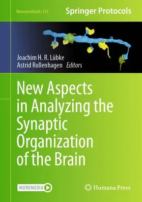 Rollenhagen / Lübke |  New Aspects in Analyzing the Synaptic Organization of the Brain | Buch |  Sack Fachmedien