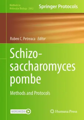 Petreaca |  Schizosaccharomyces pombe | Buch |  Sack Fachmedien