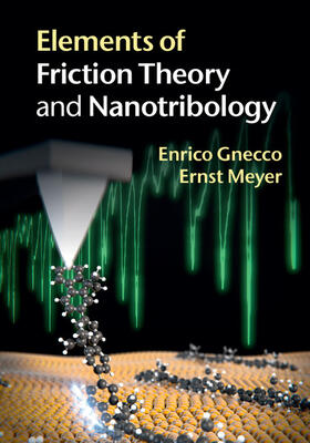 Gnecco / Meyer |  Elements of Friction Theory and Nanotribology | Buch |  Sack Fachmedien
