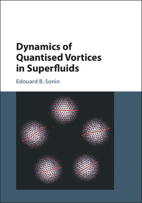 Sonin |  Dynamics of Quantised Vortices in Superfluids | Buch |  Sack Fachmedien