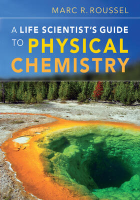 Roussel |  A Life Scientist's Guide to Physical Chemistry | Buch |  Sack Fachmedien
