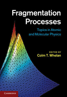 Whelan |  Fragmentation Processes | Buch |  Sack Fachmedien