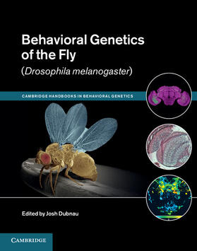Dubnau |  Behavioral Genetics of the Fly (Drosophila melanogaster) | Buch |  Sack Fachmedien