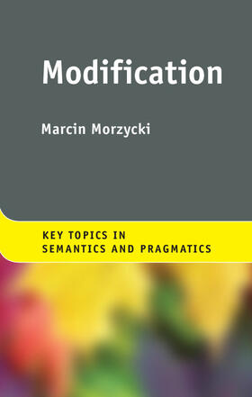 Morzycki |  Modification | Buch |  Sack Fachmedien