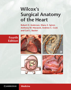 Anderson / Spicer / Hlavacek |  Wilcox's Surgical Anatomy of the Heart | Buch |  Sack Fachmedien
