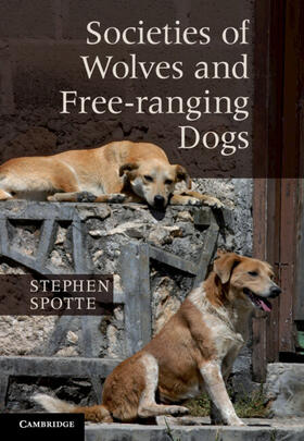 Spotte |  Societies of Wolves and Free-ranging Dogs | Buch |  Sack Fachmedien