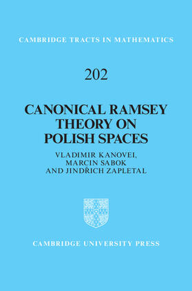 Kanovei / Sabok / Zapletal |  Canonical Ramsey Theory on Polish Spaces | Buch |  Sack Fachmedien