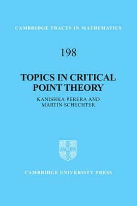 Perera / Schechter |  Topics in Critical Point Theory | Buch |  Sack Fachmedien