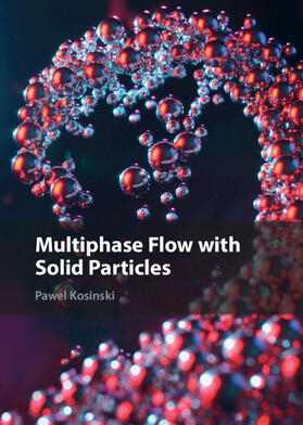 Kosinski |  Multiphase Flow with Solid Particles | Buch |  Sack Fachmedien