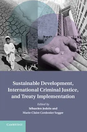 Jodoin / Cordonier Segger |  Sustainable Development, International Criminal Justice, and Treaty Implementation | Buch |  Sack Fachmedien