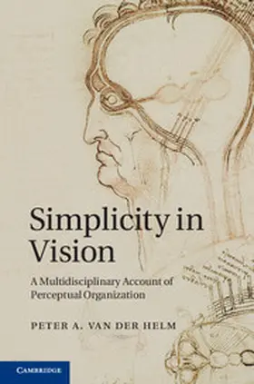 Helm |  Simplicity in Vision | Buch |  Sack Fachmedien