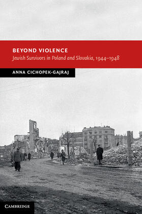 Cichopek-Gajraj |  Beyond Violence | Buch |  Sack Fachmedien