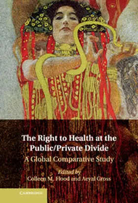 Flood / Gross |  The Right to Health at the Public/Private             Divide | Buch |  Sack Fachmedien