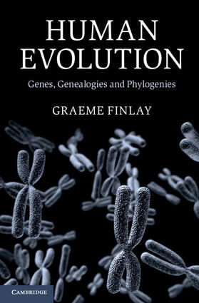 Finlay |  Human Evolution | Buch |  Sack Fachmedien