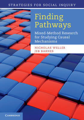 Weller / Barnes |  Finding Pathways | Buch |  Sack Fachmedien