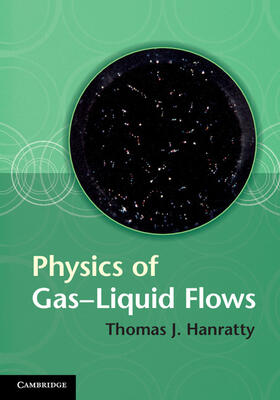 Hanratty |  Physics of Gas-Liquid Flows | Buch |  Sack Fachmedien