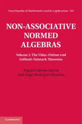 Cabrera García / Cabrera Garc&#237;a / Rodríguez Palacios |  Non-Associative Normed Algebras | Buch |  Sack Fachmedien