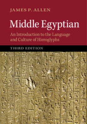 Allen |  Middle Egyptian | Buch |  Sack Fachmedien