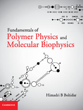 Bohidar |  Fundamentals of Polymer Physics and Molecular Biophysics | Buch |  Sack Fachmedien