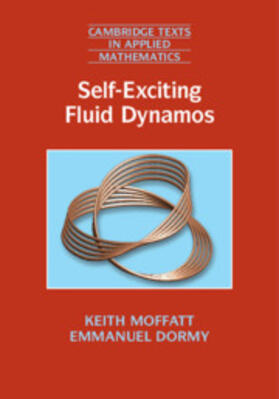 Moffatt / Dormy |  Self-Exciting Fluid Dynamos | Buch |  Sack Fachmedien