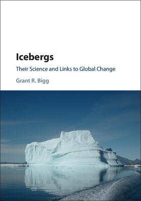 Bigg |  Icebergs | Buch |  Sack Fachmedien