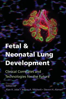 Jobe / Whitsett / Abman |  Fetal and Neonatal Lung Development | Buch |  Sack Fachmedien