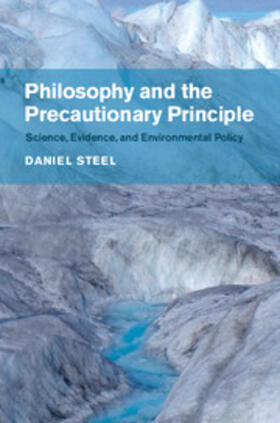 Steel |  Philosophy and the Precautionary Principle | Buch |  Sack Fachmedien