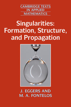Eggers / Fontelos |  Singularities: Formation, Structure, and Propagation | Buch |  Sack Fachmedien