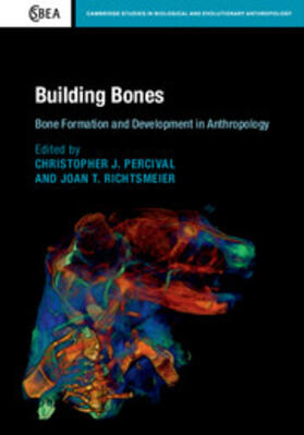 Percival / Richtsmeier |  Building Bones: Bone Formation and Development in Anthropology | Buch |  Sack Fachmedien