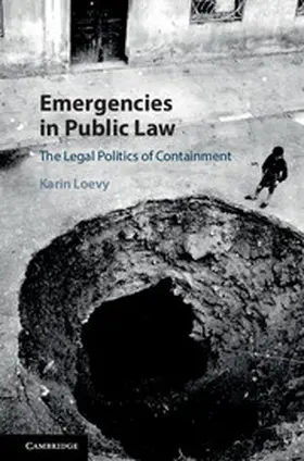 Loevy |  Emergencies in Public Law | Buch |  Sack Fachmedien