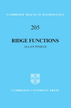 Pinkus |  Ridge Functions | Buch |  Sack Fachmedien