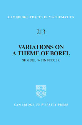 Weinberger |  Variations on a Theme of Borel | Buch |  Sack Fachmedien