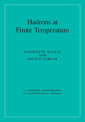 Mallik / Sarkar |  Hadrons at Finite Temperature | Buch |  Sack Fachmedien