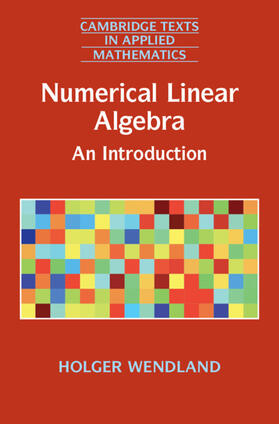 Wendland |  Numerical Linear Algebra | Buch |  Sack Fachmedien
