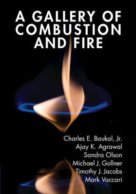 Baukal Jr / Baukal, Jr. / Agarwal |  A Gallery of Combustion and Fire | Buch |  Sack Fachmedien