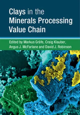 Gräfe / Gr&#228;fe / Klauber |  Clays in the Minerals Processing Value Chain | Buch |  Sack Fachmedien