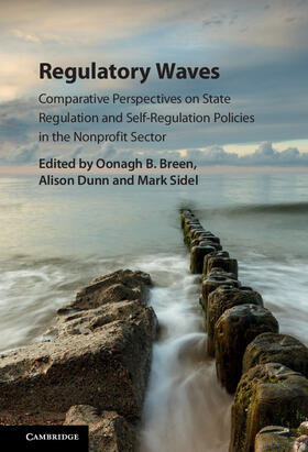 Breen / Dunn / Sidel |  Regulatory Waves | Buch |  Sack Fachmedien