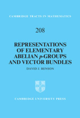 Benson |  Representations of Elementary Abelian p-Groups and Vector             Bundles | Buch |  Sack Fachmedien